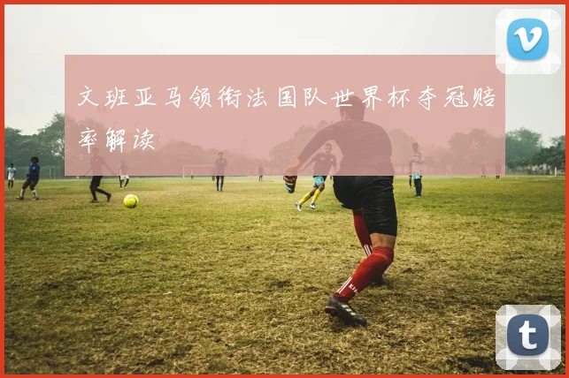 文班亚马领衔法国队世界杯夺冠赔率解读